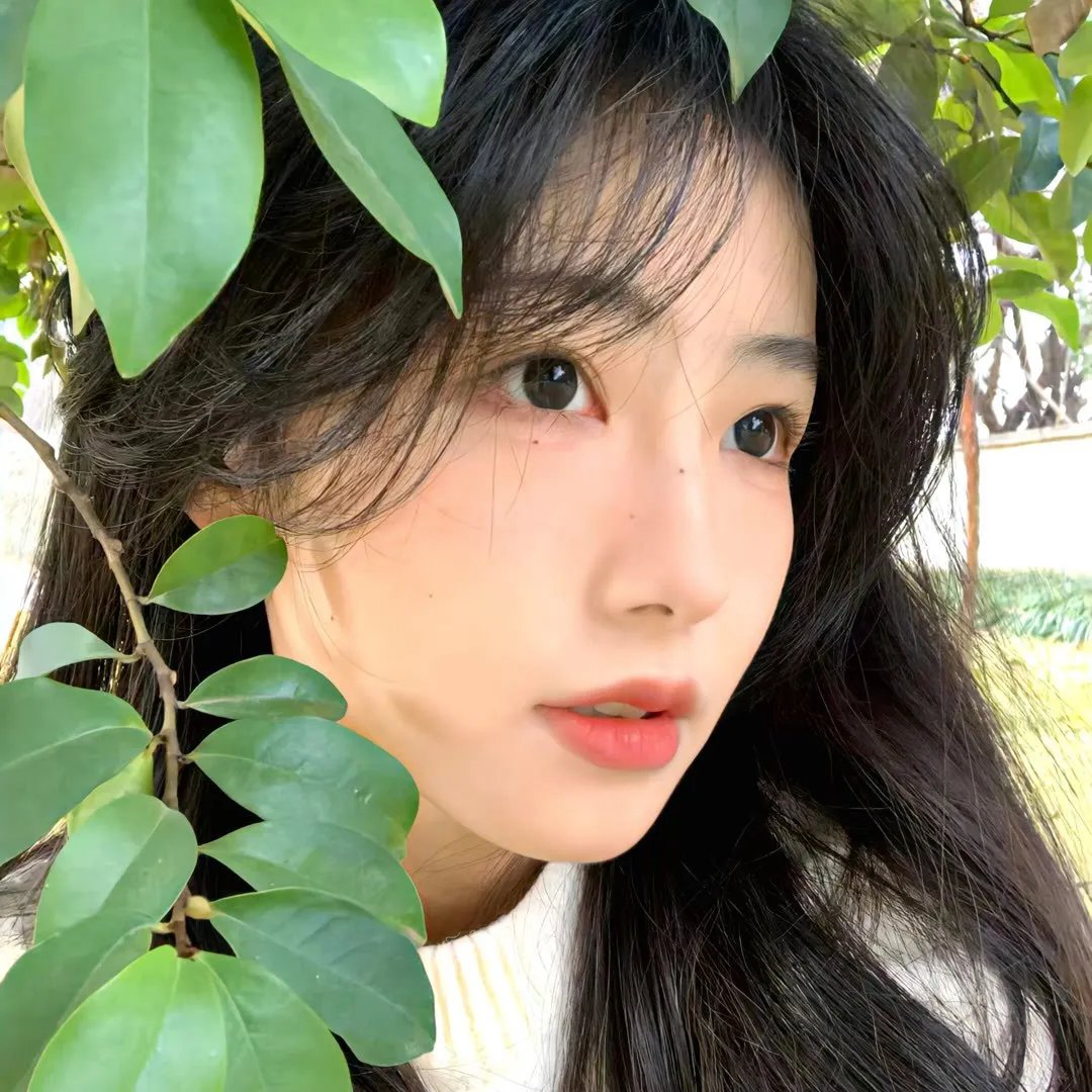 女人帮